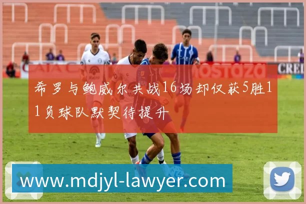 希罗与鲍威尔共战16场却仅获5胜11负球队默契待提升